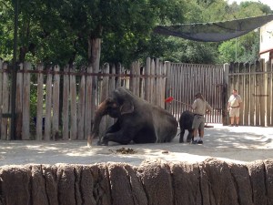 IMG_6966