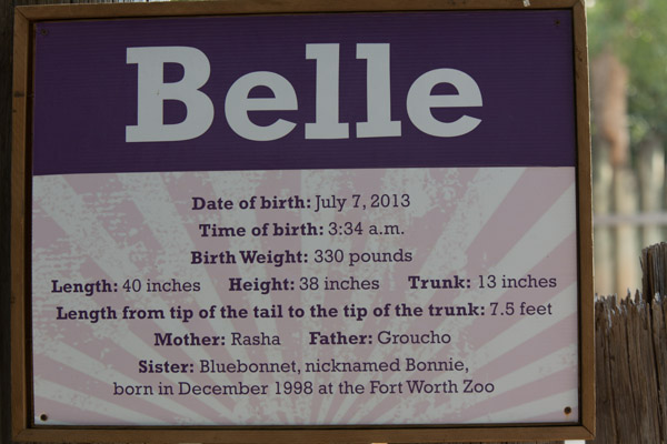 Another Visit to see Belle and her Mom,&nbsp;Rasha