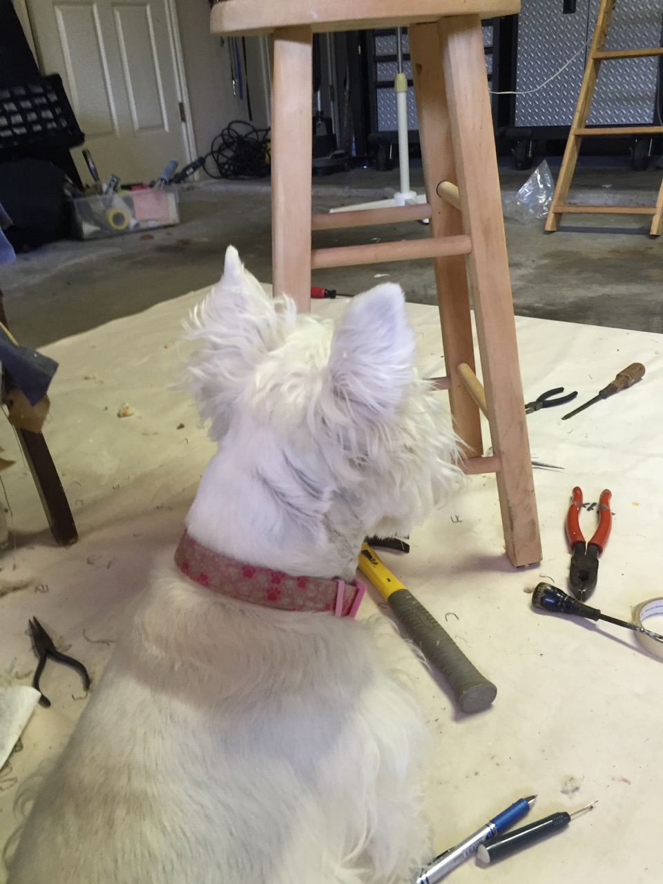 Day 6 of Reupholstering the Queen Anne Chair Wing&nbsp;Chair